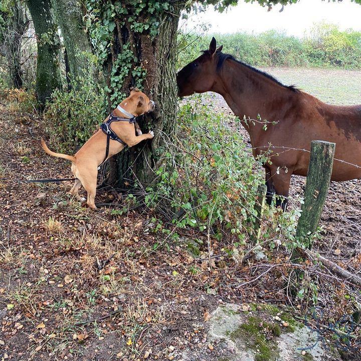 Qui joue à cache-cache ?