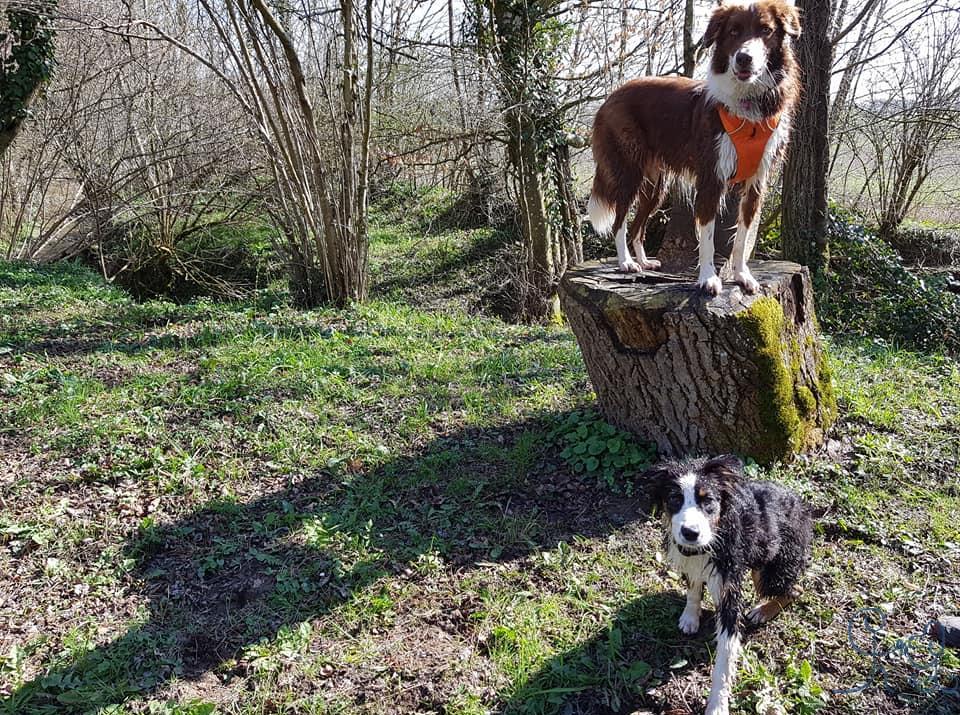 Les balades du Printemps !