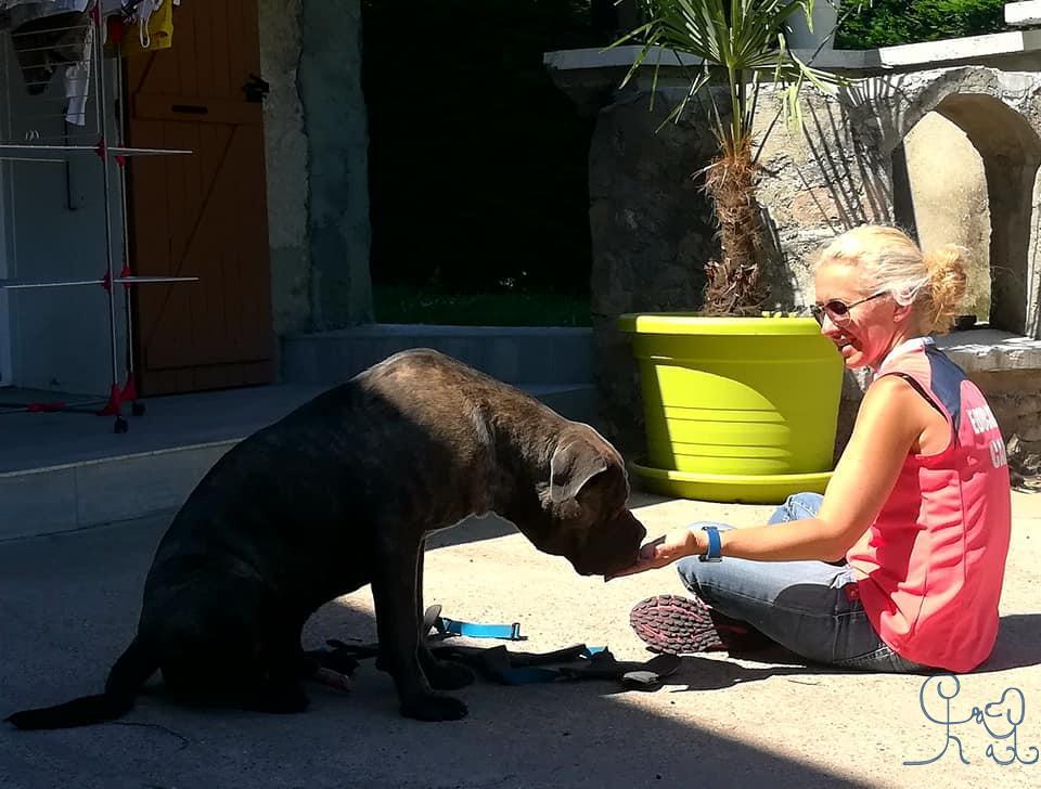 Narco, canecorso les progrès