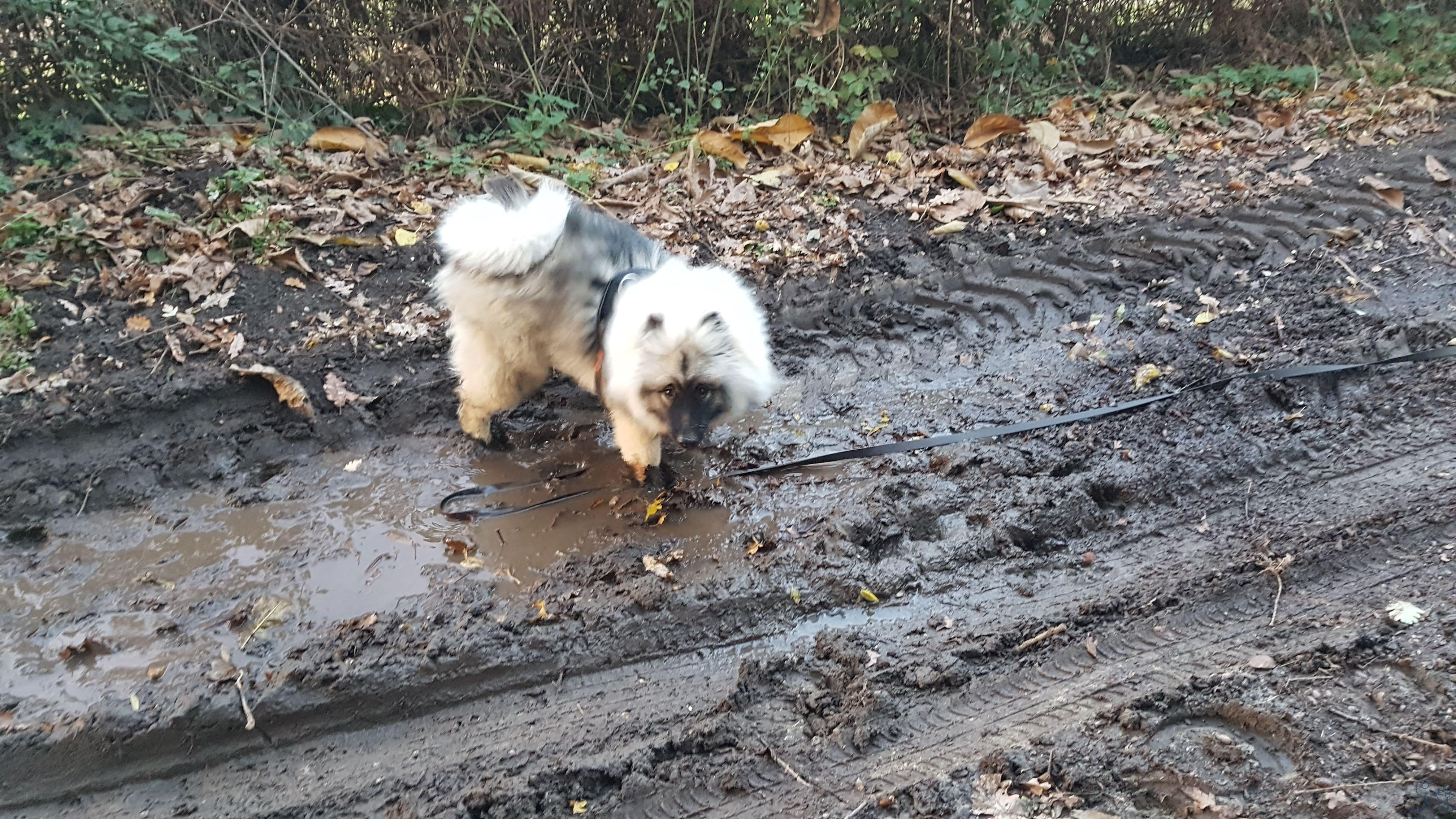 Naya prend des bains de boue!