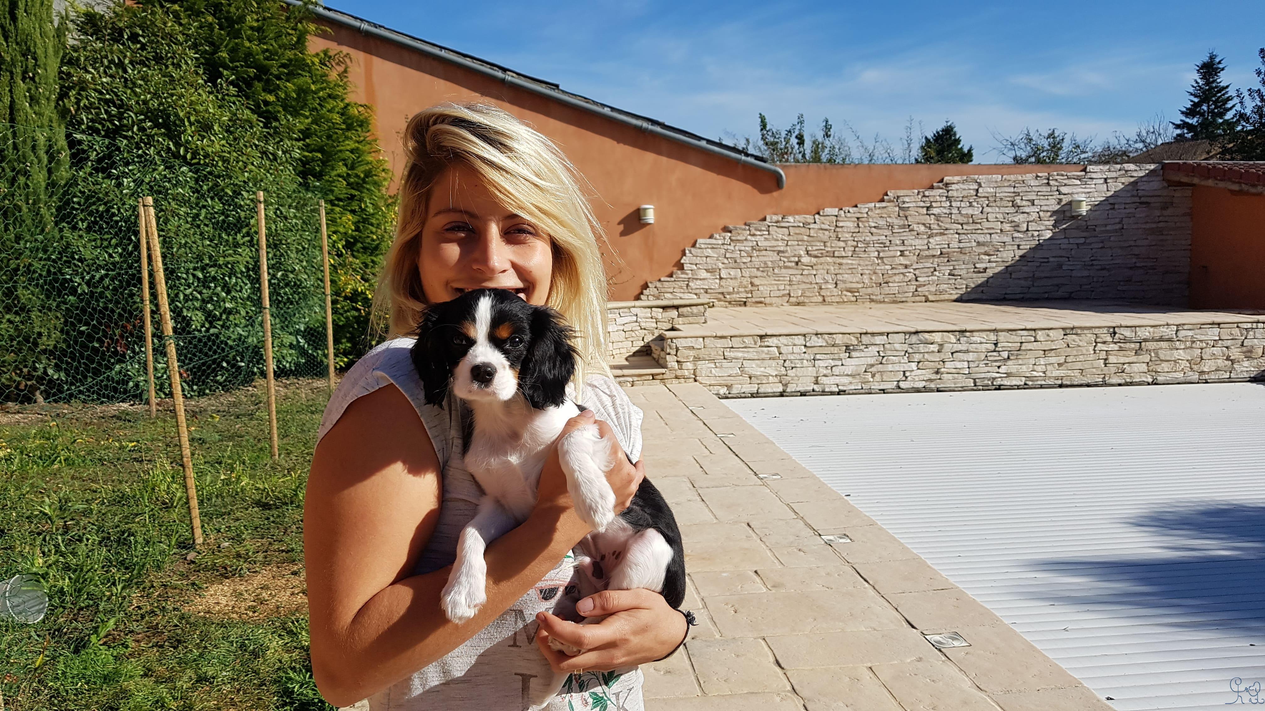 North, nouveau bébé Objectif chiens!