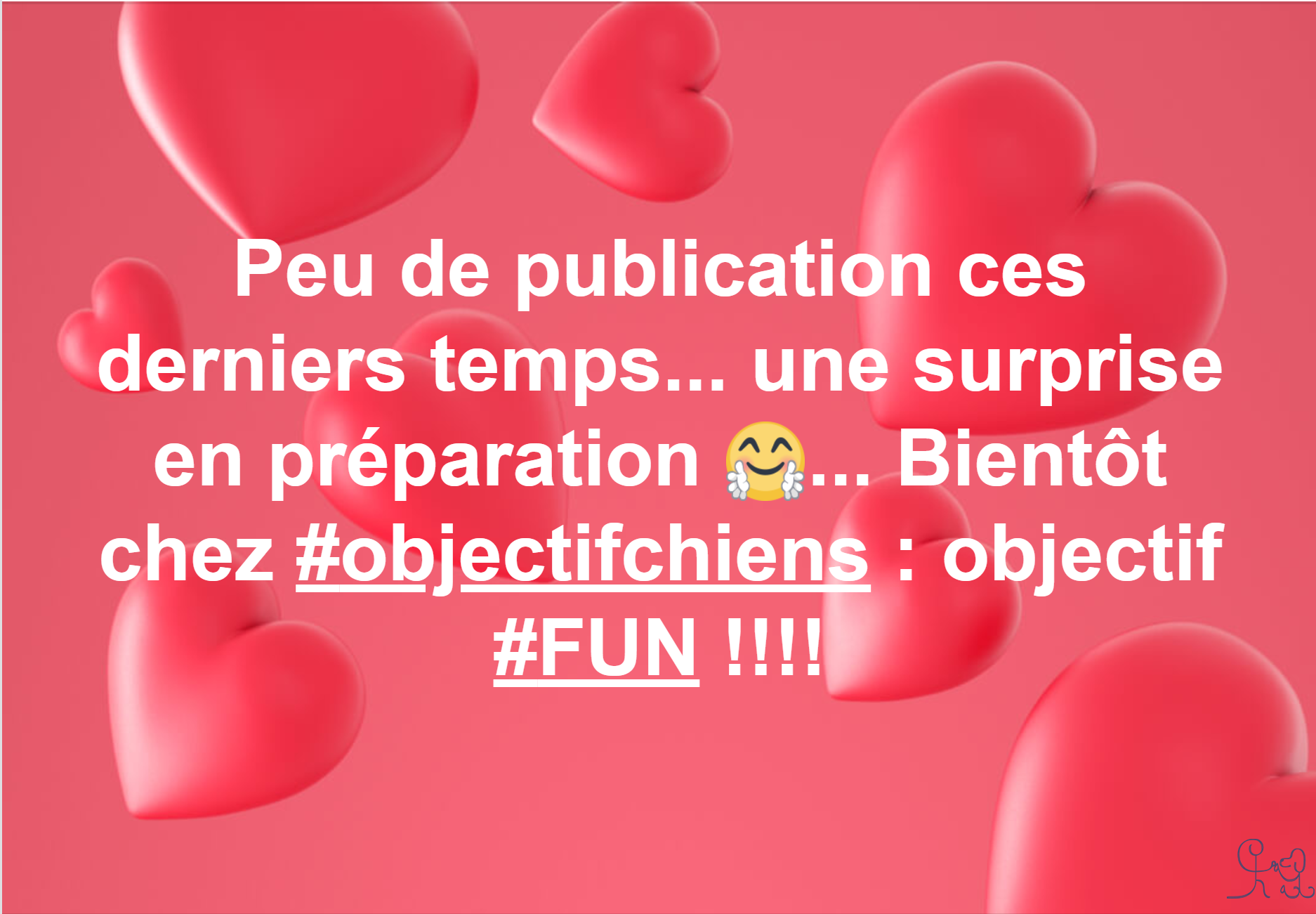 Une surprise en préparation, bientôt chez objectifchiens