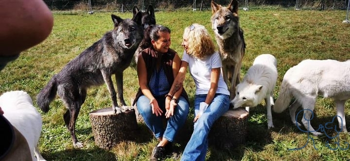 Moment hors du temps avec Marion Guillet Chiens Complices