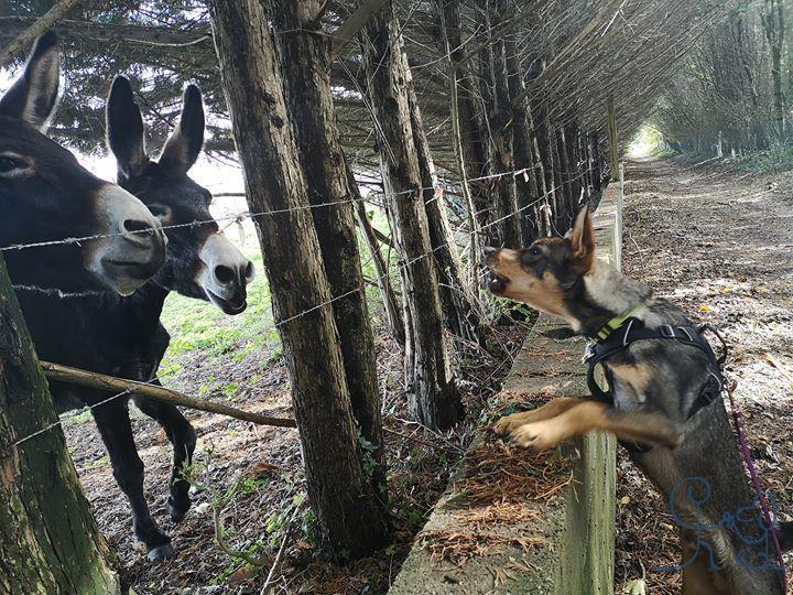 [Rencontre] lors de nos balades.