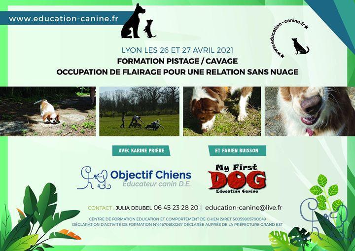 Photos de la publication de Centre Education et comportements du chien