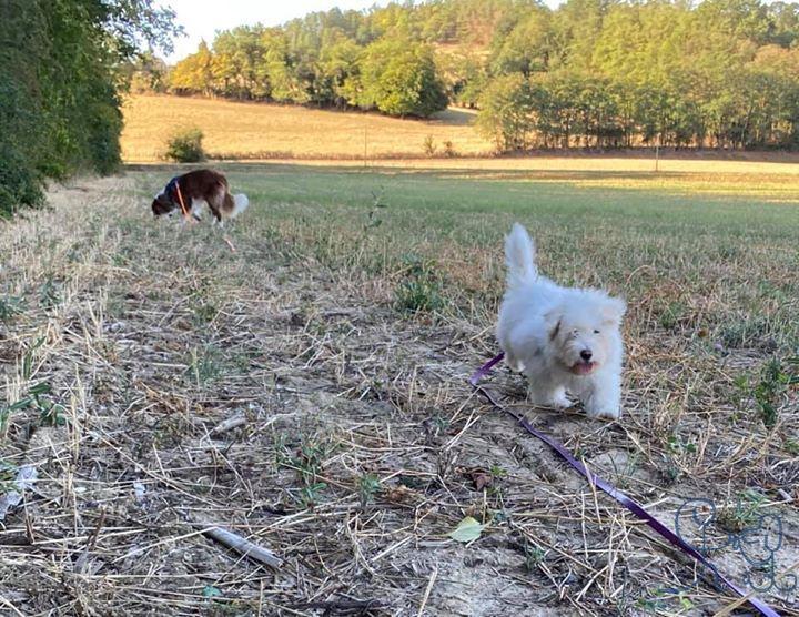 Même quand on est petit, la balade c est trop bien!