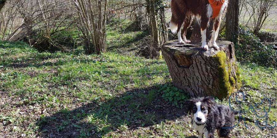 Les balades du Printemps !