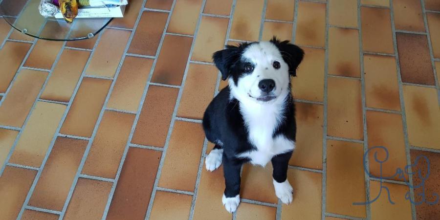 Petite Nala