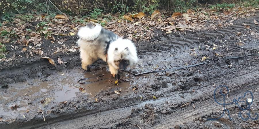 Naya prend des bains de boue!