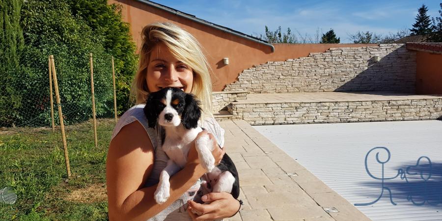 North, nouveau bébé Objectif chiens!