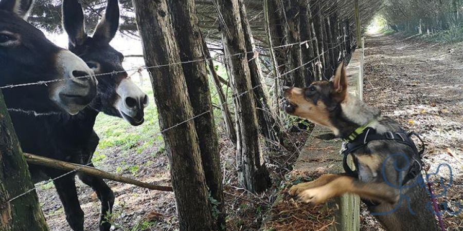 [Rencontre] lors de nos balades.