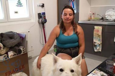 Boubou #bergerblancsuisse arrivé depuis peu chez s