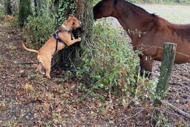 Qui joue à cache-cache ?