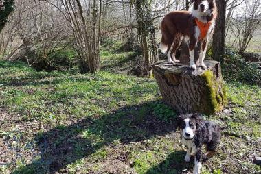 Les balades du Printemps !