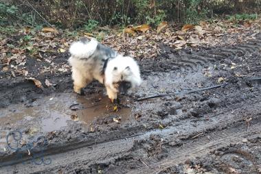 Naya prend des bains de boue!