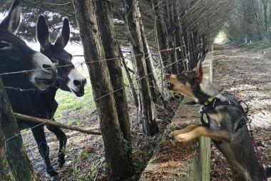 [Rencontre] lors de nos balades.