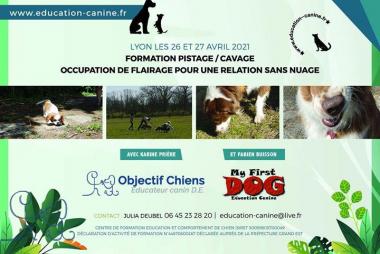 Photos de la publication de Centre Education et comportements du chien